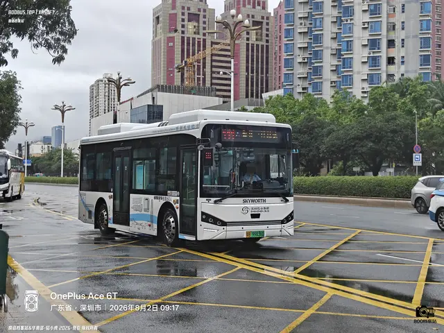 粤B 99836D