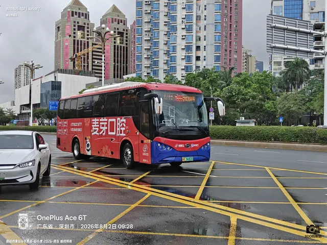 粤B 34063D