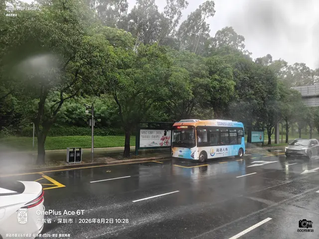 粤B 47444D