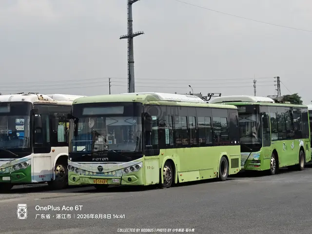 粤G 58449