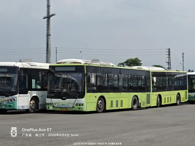 粤G 58138
