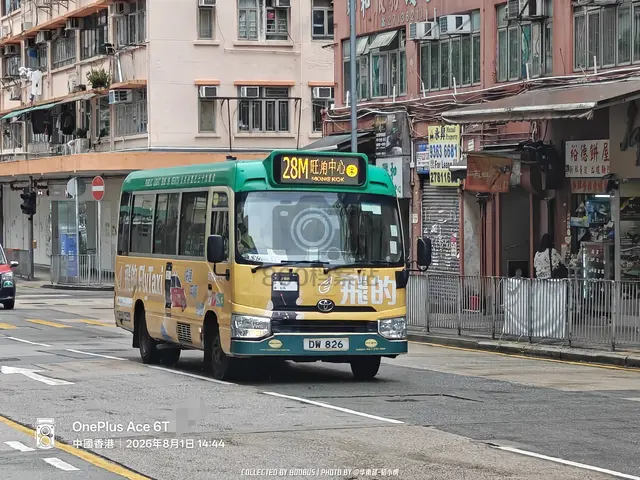 DW 826