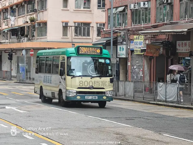 DY 1248