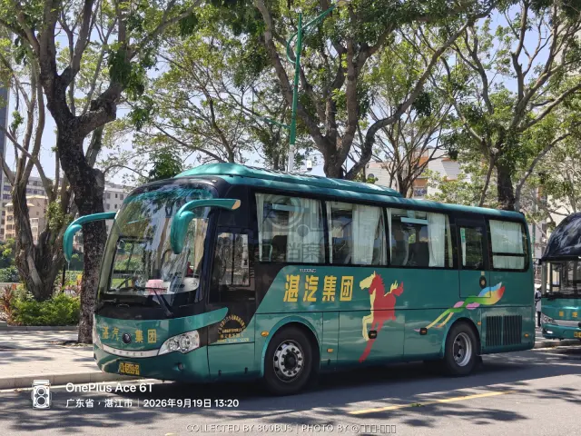 粤G 56059