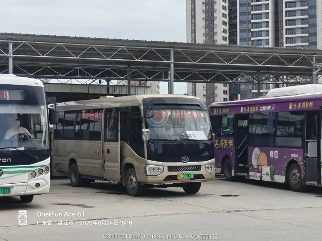 粤G 09961D