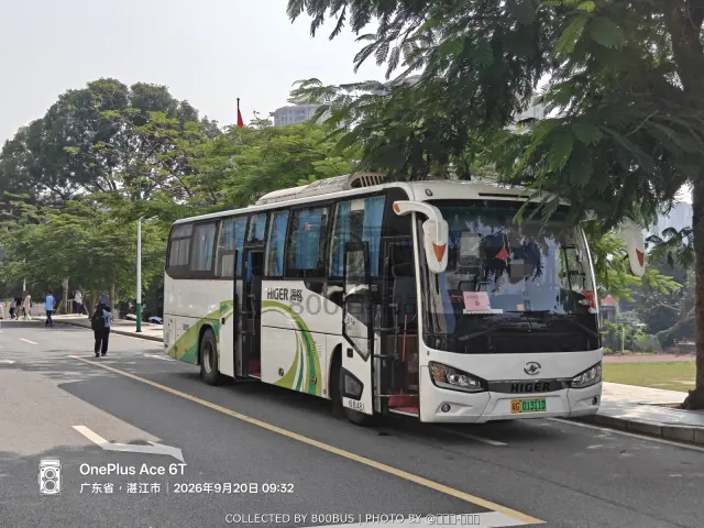 粤G 01311D