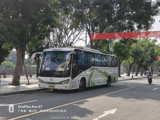 粤G 00387D