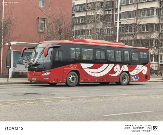 800BUS