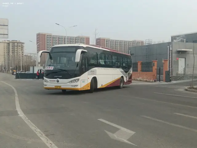 800BUS