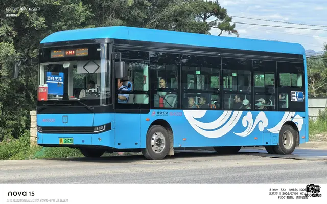 800BUS