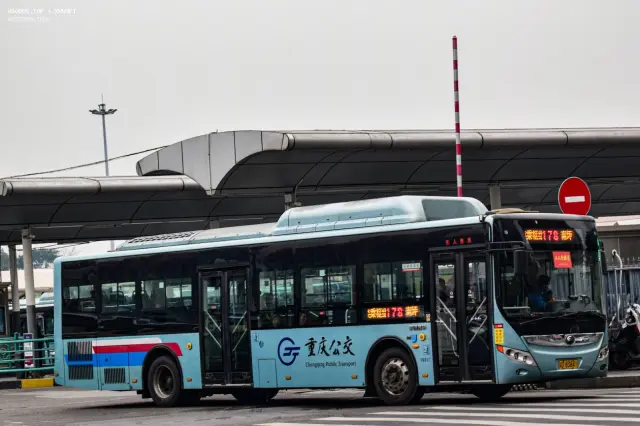 渝D83841