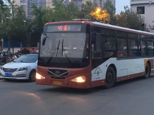 800BUS