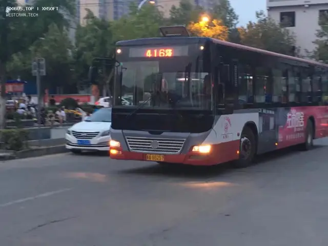 800BUS