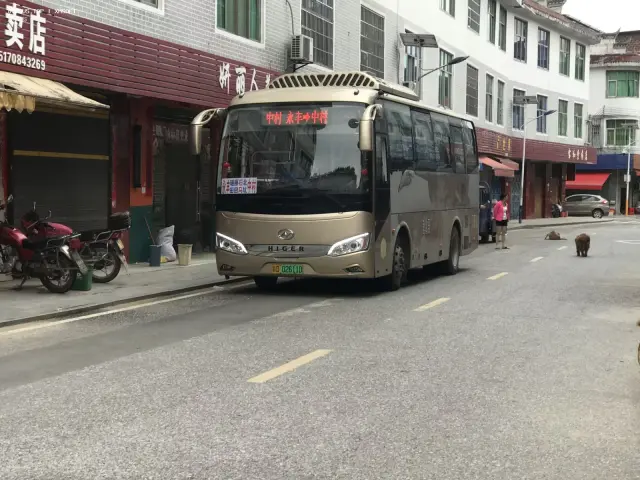 赣D 02611D