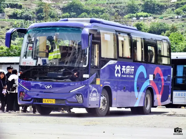 800BUS