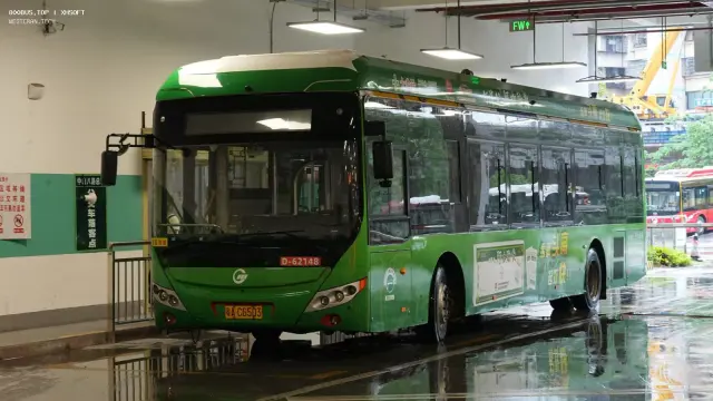 粤A CG503