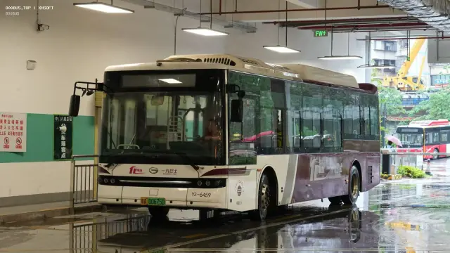 粤A 00675D
