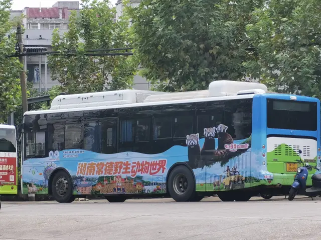 湘C18686