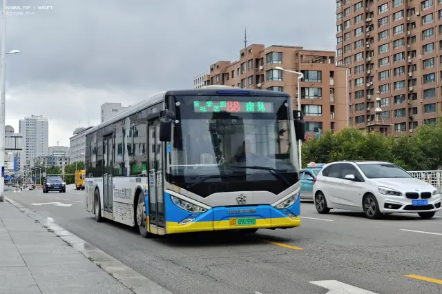 辽D09299D