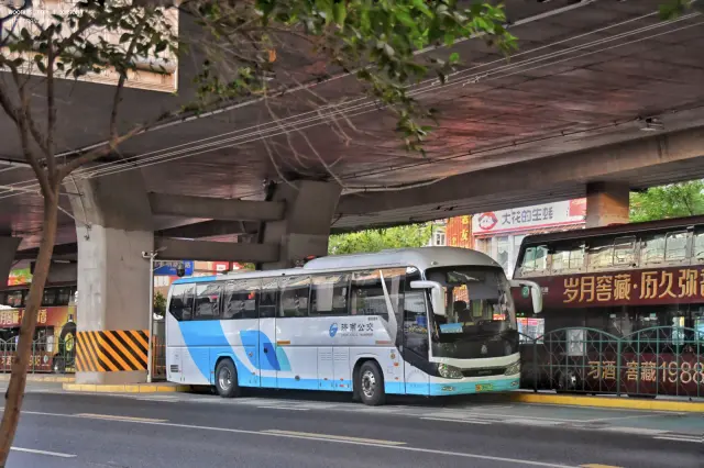 鲁A06603D