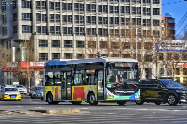 辽A08433D
