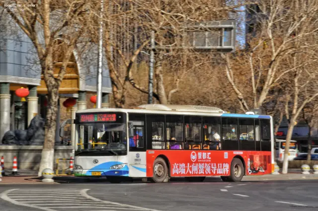 辽AN1731