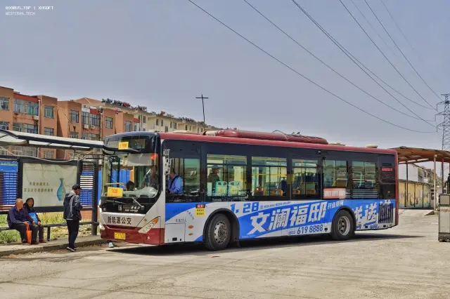 800BUS