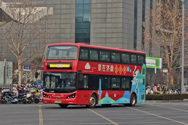 800BUS