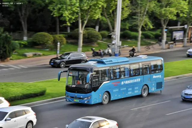 800BUS