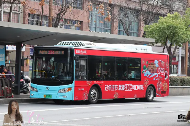 800BUS
