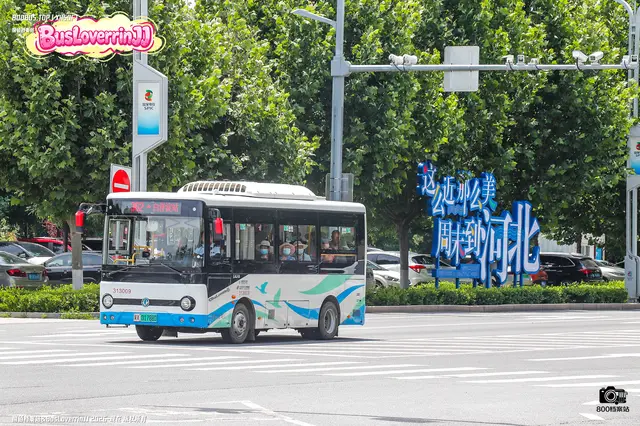 冀X 01788D