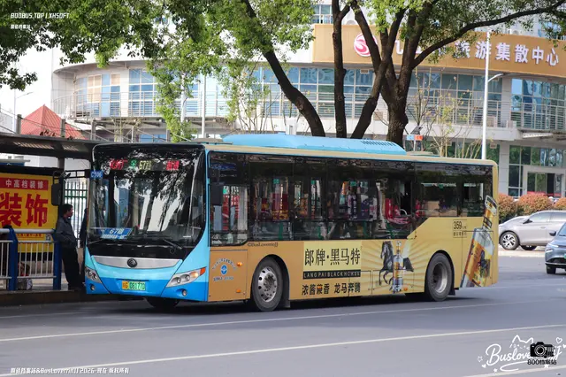 赣G 08177D