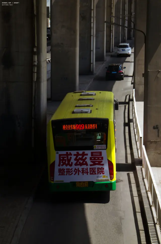 800BUS