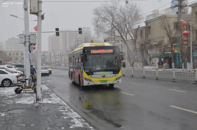 800BUS