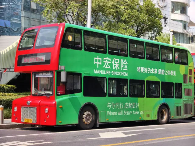 800BUS