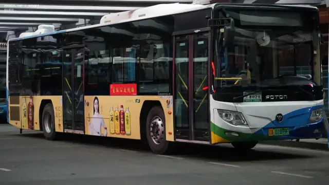 800BUS