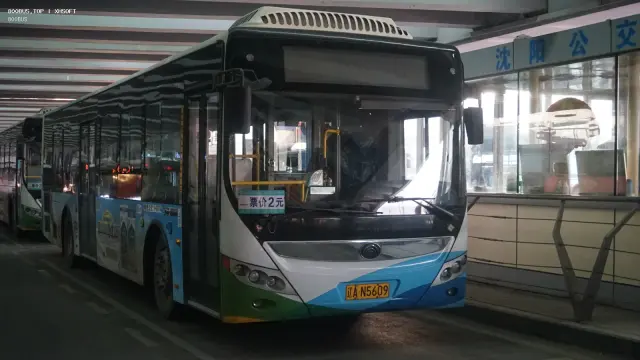 800BUS