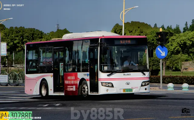 沪A·30788D
