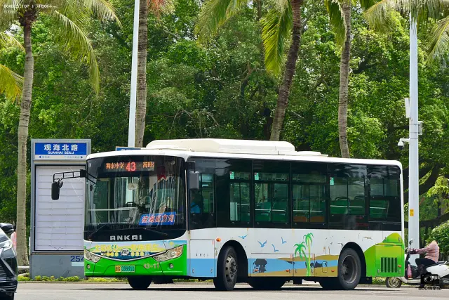 800BUS