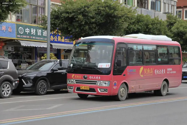 浙C J8365