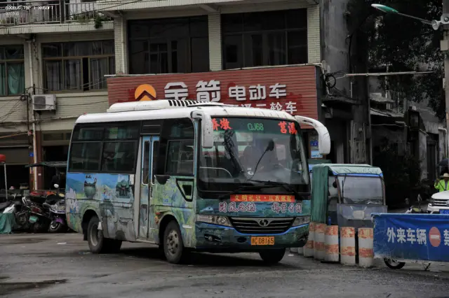 浙C.D8165