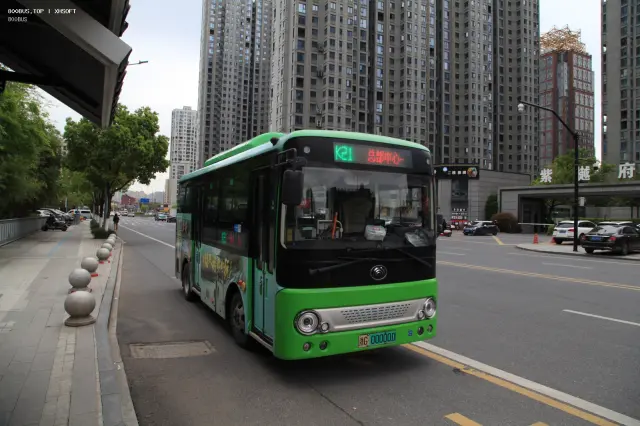 800BUS