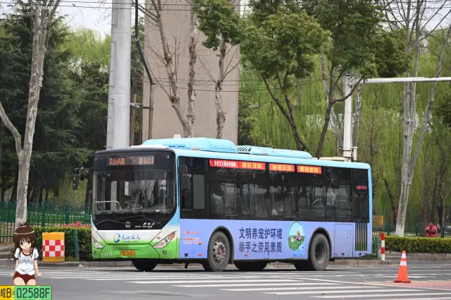 皖B.55453