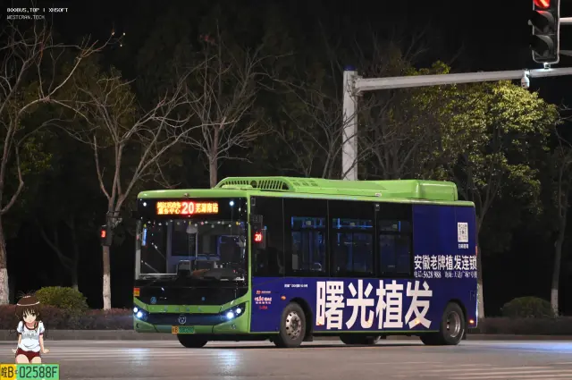 皖B.08028D