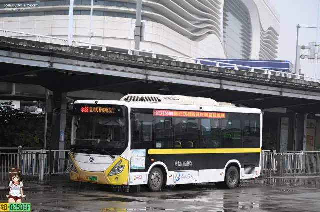 皖B.06005D