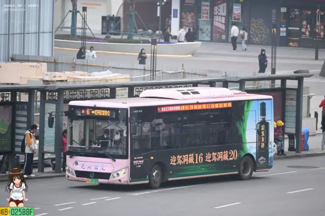 皖B.00920D