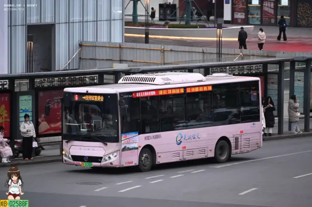 皖B.01260D