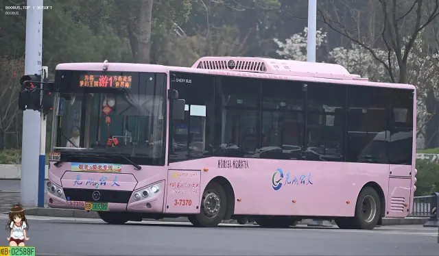 皖B.06538D