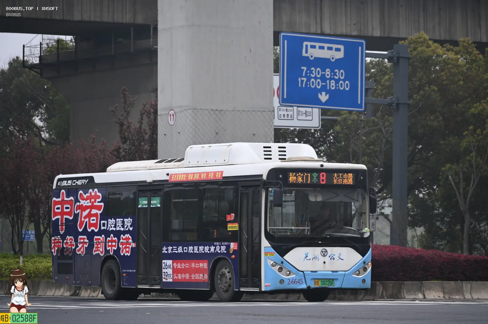 Bus Archive