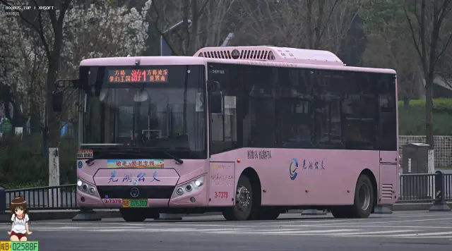 皖B.07630D